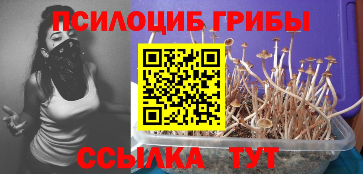 Дербент  Галлюциногенные грибы Magic Shrooms  Галлюциногенные грибы MAGIC MUSHROOMS  купить  цена  Вход с VPN 